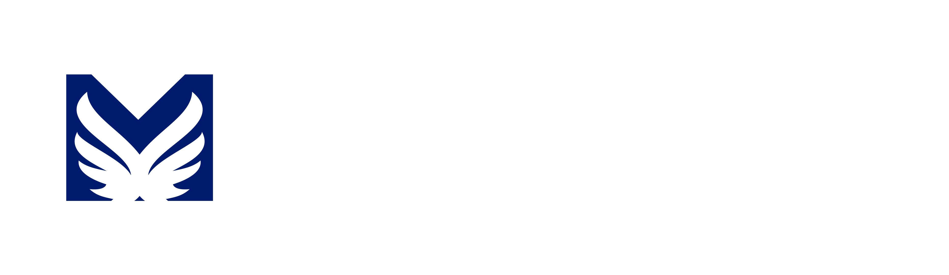 M.A.D. Consultant, LLC